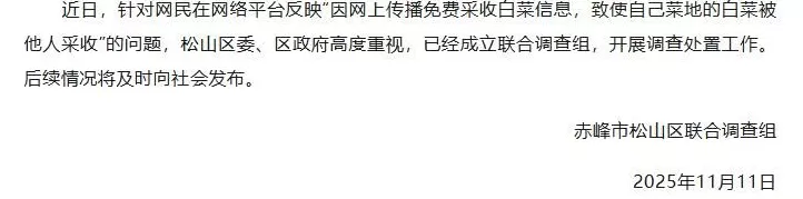 一则谣言毁了近200亩白菜，损失逾百万！责任谁担？-第2张图片-