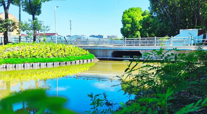 参与古镇联合申遗背后，上海新场镇的“治河”之路-第1张图片-