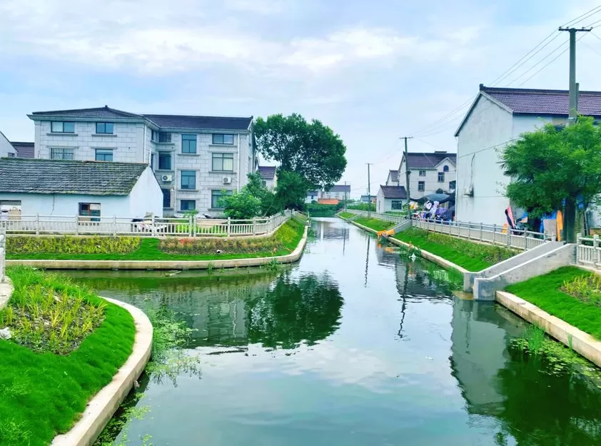 参与古镇联合申遗背后，上海新场镇的“治河”之路-第2张图片-