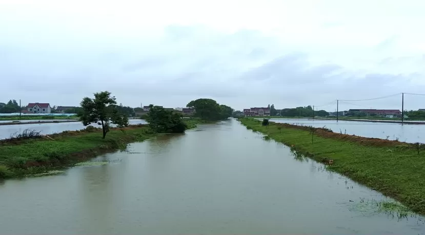 参与古镇联合申遗背后，上海新场镇的“治河”之路-第3张图片-