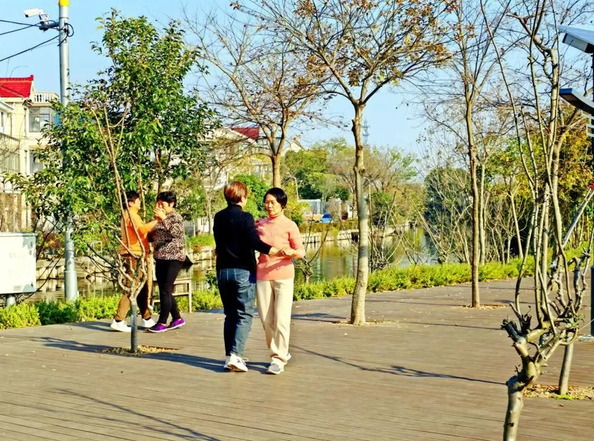 参与古镇联合申遗背后，上海新场镇的“治河”之路-第4张图片-