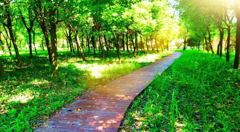 参与古镇联合申遗背后，上海新场镇的“治河”之路-第5张图片-