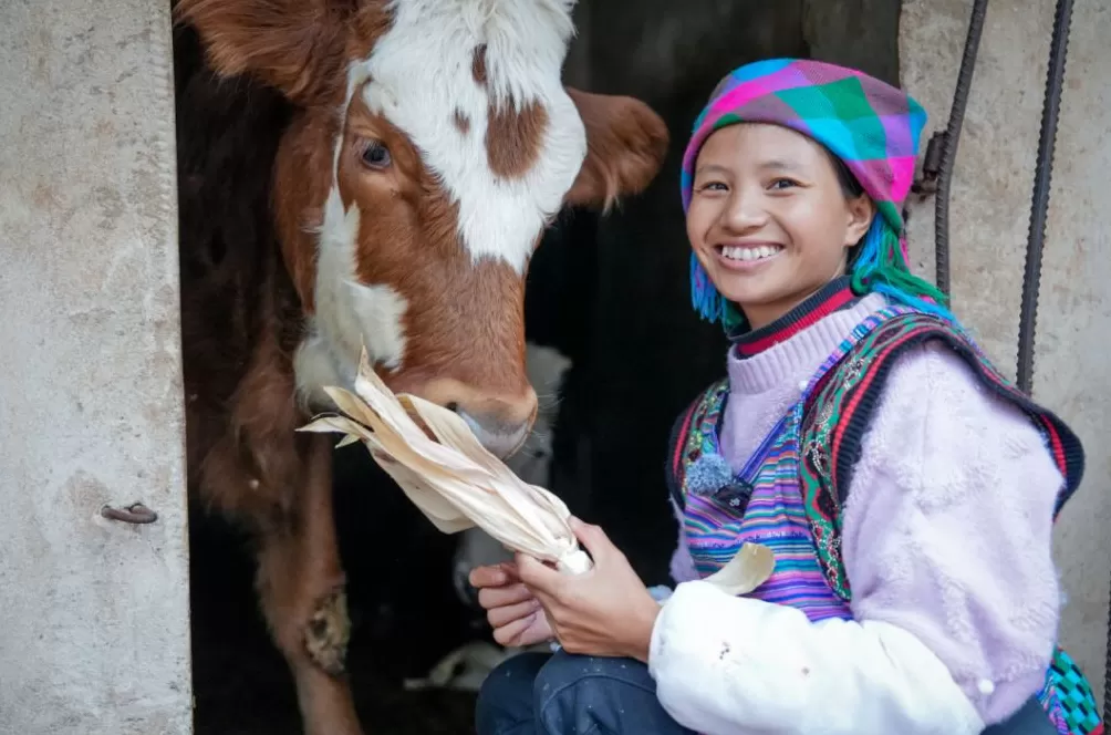云南百万粉丝网红小英的丈夫被刑拘：酒后肇事逃逸致人重伤-第4张图片-