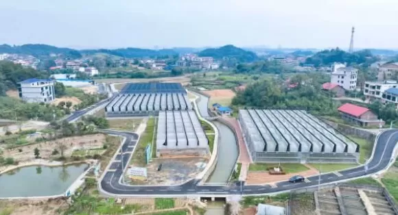 【理响中国·一线探新】产业振兴绘就“诗画田园”-第2张图片-