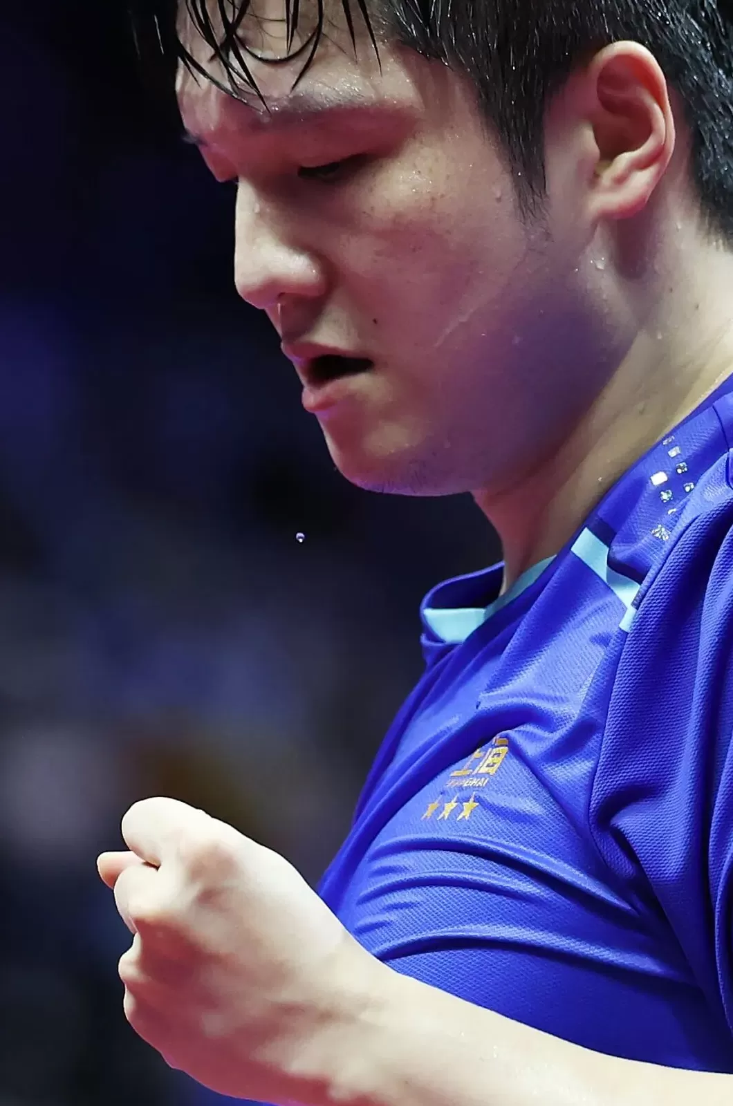 现场|当樊振东把全运会打成舒适区,我们要急着他回来吗?-第4张图片- 现场|当樊振东把全运会打成舒适区,我们要急着他回来吗?-第4张图片-