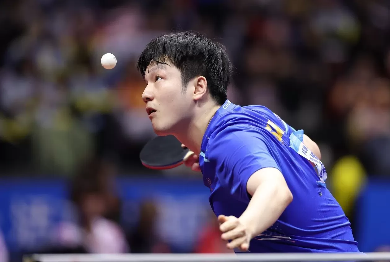 现场|当樊振东把全运会打成舒适区,我们要急着他回来吗?-第7张图片- 现场|当樊振东把全运会打成舒适区,我们要急着他回来吗?-第7张图片-