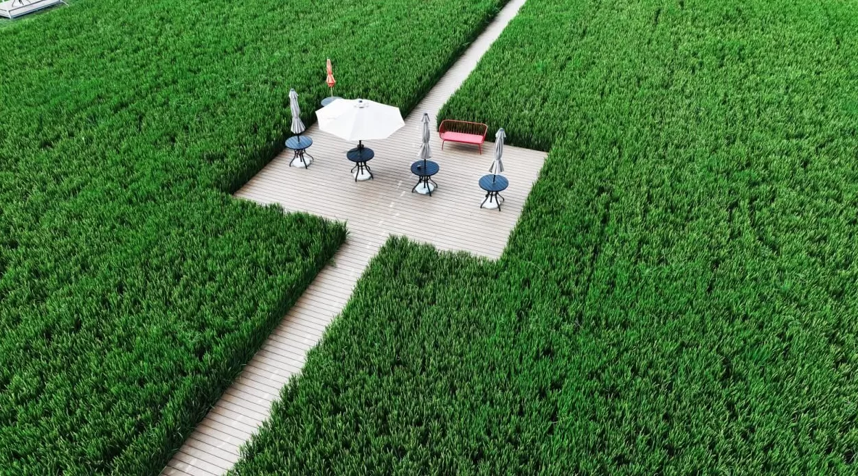 徐州铜山的文旅思考：让创意在乡村流动，成为新式发展动能-第4张图片-