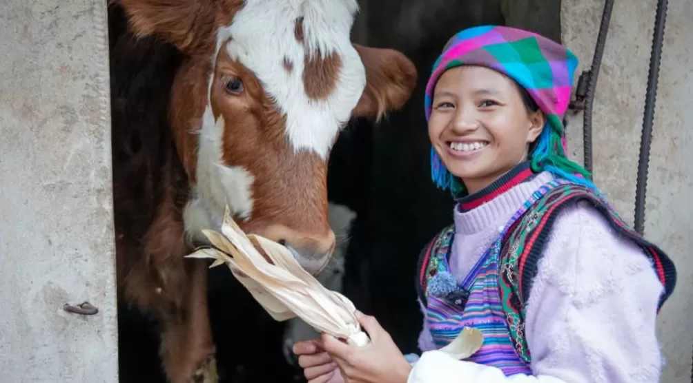 媒体：从“卖惨顶流”到肇事逃逸，谁来为流量经济的信任危机买单？-第2张图片-