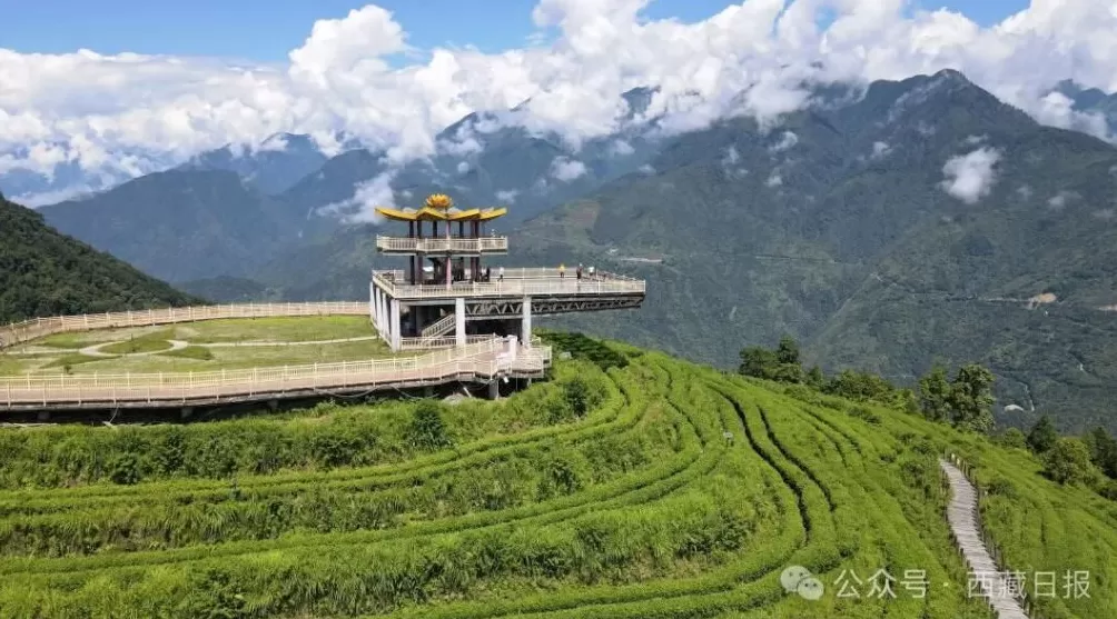 113000000元！墨脱真棒！-第1张图片-