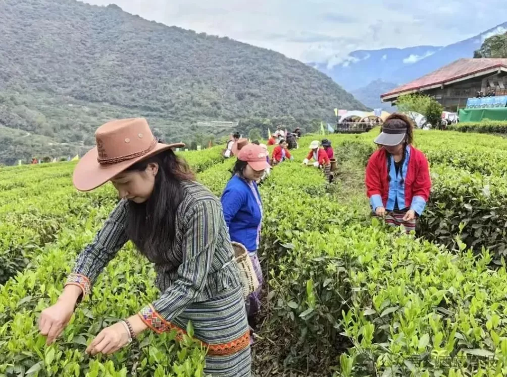 113000000元！墨脱真棒！-第4张图片-