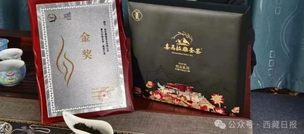 113000000元！墨脱真棒！-第5张图片-