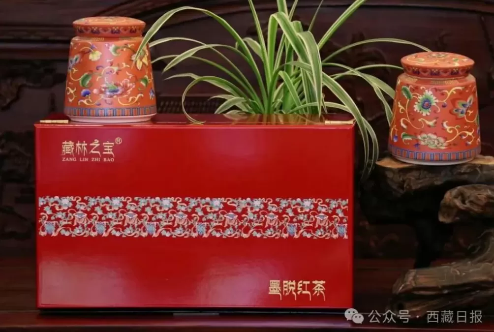 113000000元！墨脱真棒！-第6张图片-