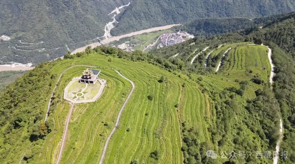 113000000元！墨脱真棒！-第7张图片-