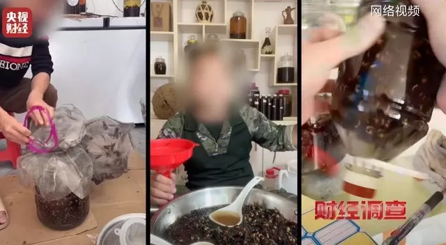 央视曝光：“杀人蜂”遭滥养，有人赚得盆满钵满-第1张图片-