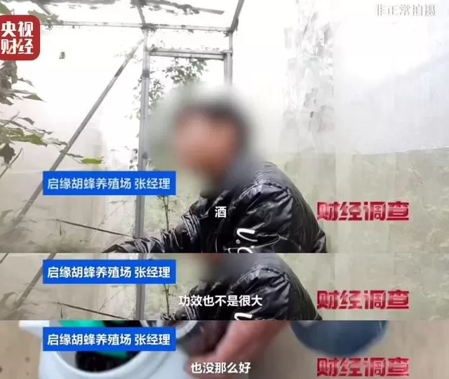 央视曝光：“杀人蜂”遭滥养，有人赚得盆满钵满-第4张图片-