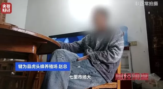 央视曝光：“杀人蜂”遭滥养，有人赚得盆满钵满-第27张图片-