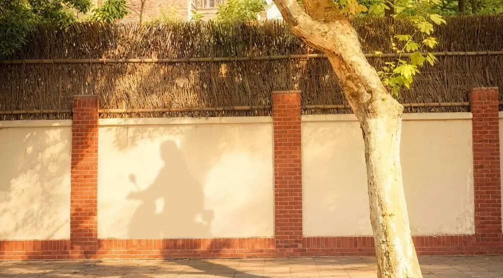 在场·手记｜潺潺流水穿过了群山一座座-第1张图片-