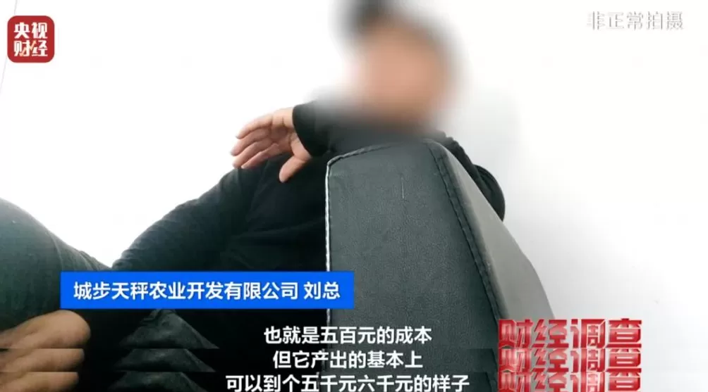 “杀人蜂”遭滥养！有人赚得盆满钵满-第12张图片-