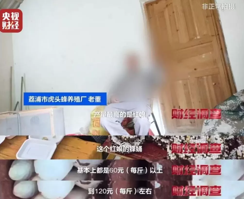 “杀人蜂”遭滥养！有人赚得盆满钵满-第18张图片-