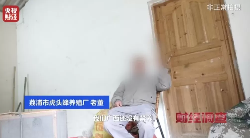 “杀人蜂”遭滥养！有人赚得盆满钵满-第17张图片-