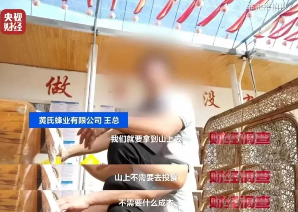 “杀人蜂”遭滥养！有人赚得盆满钵满-第22张图片-