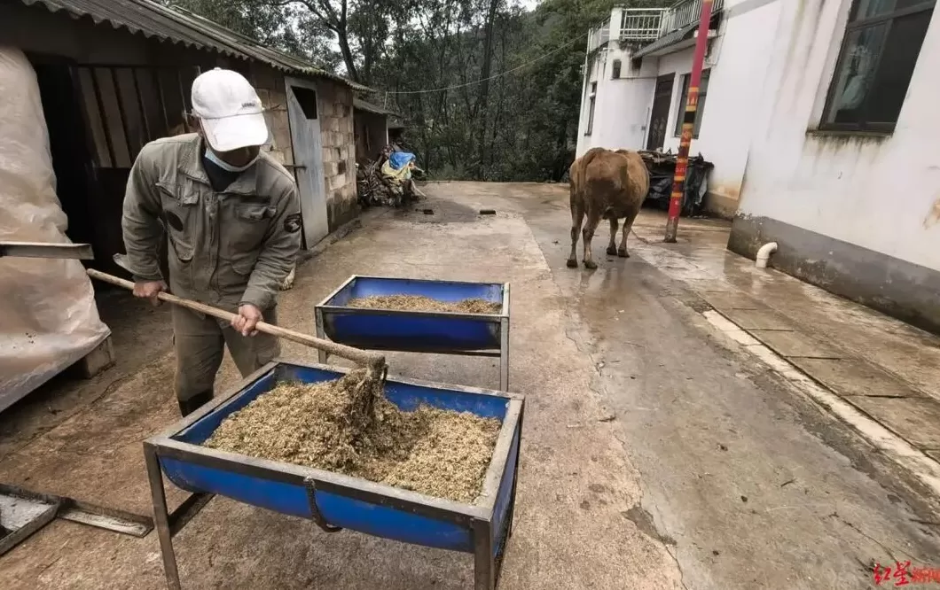 丈夫肇事逃逸被刑拘，网红小英再成焦点，云南寻甸村民：已数月未住村里-第4张图片-