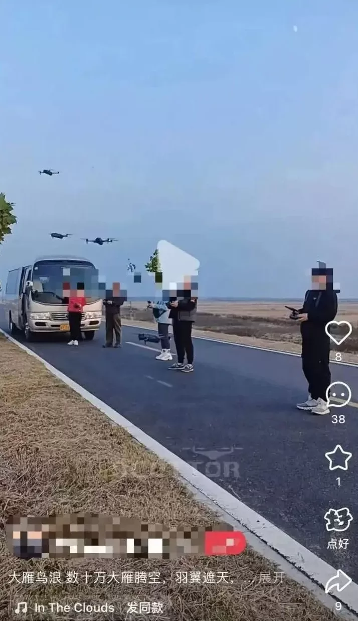 全世界的动物，都怕了这种出片神器-第4张图片-