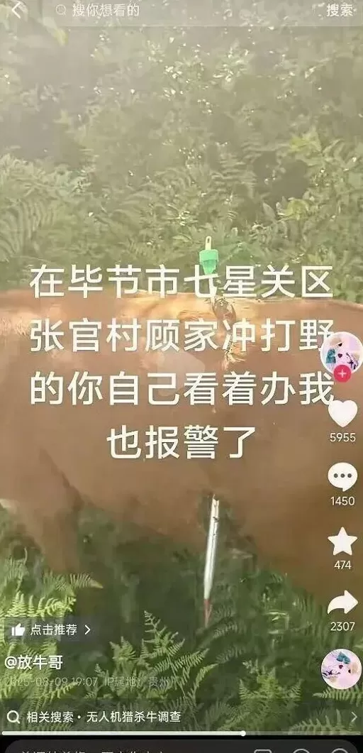 全世界的动物，都怕了这种出片神器-第8张图片-