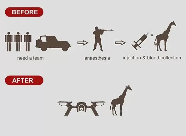 全世界的动物，都怕了这种出片神器-第5张图片-
