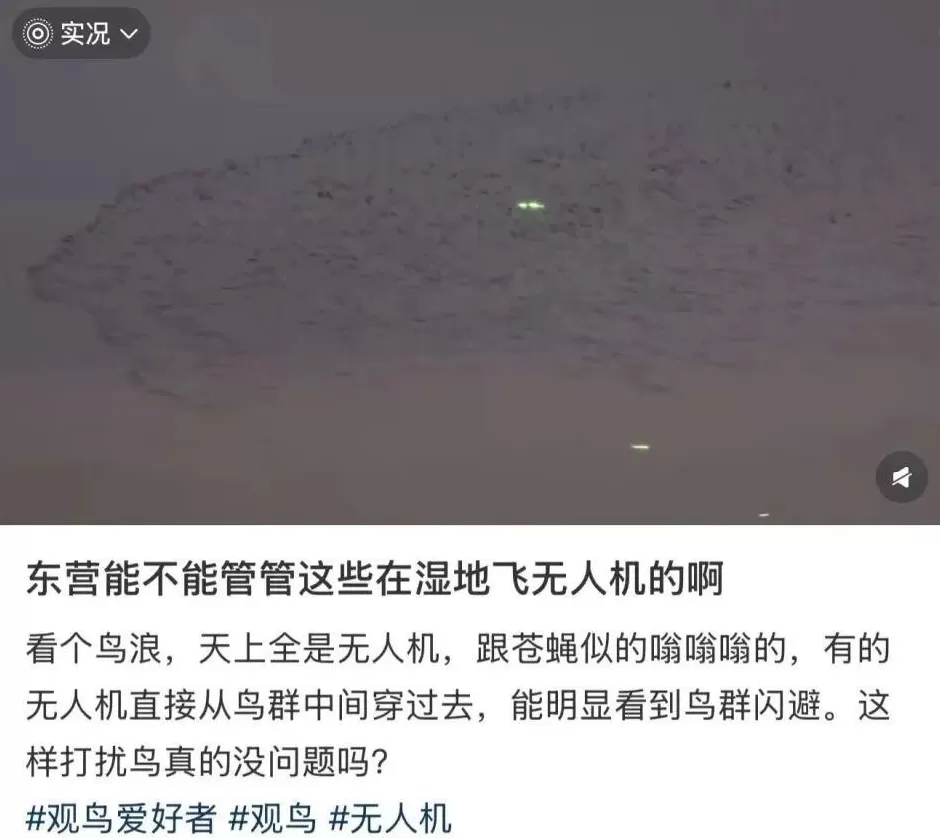 全世界的动物，都怕了这种出片神器-第9张图片-