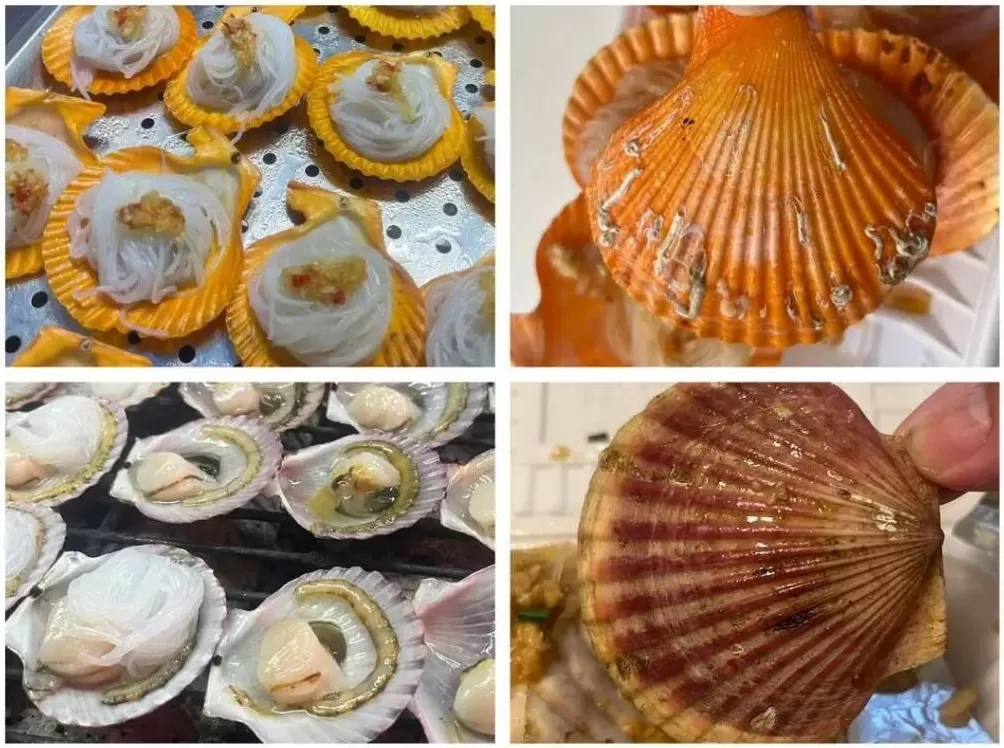 4分钱壳+3毛钱肉，“拼接品”烤扇贝利润超60%-第2张图片-