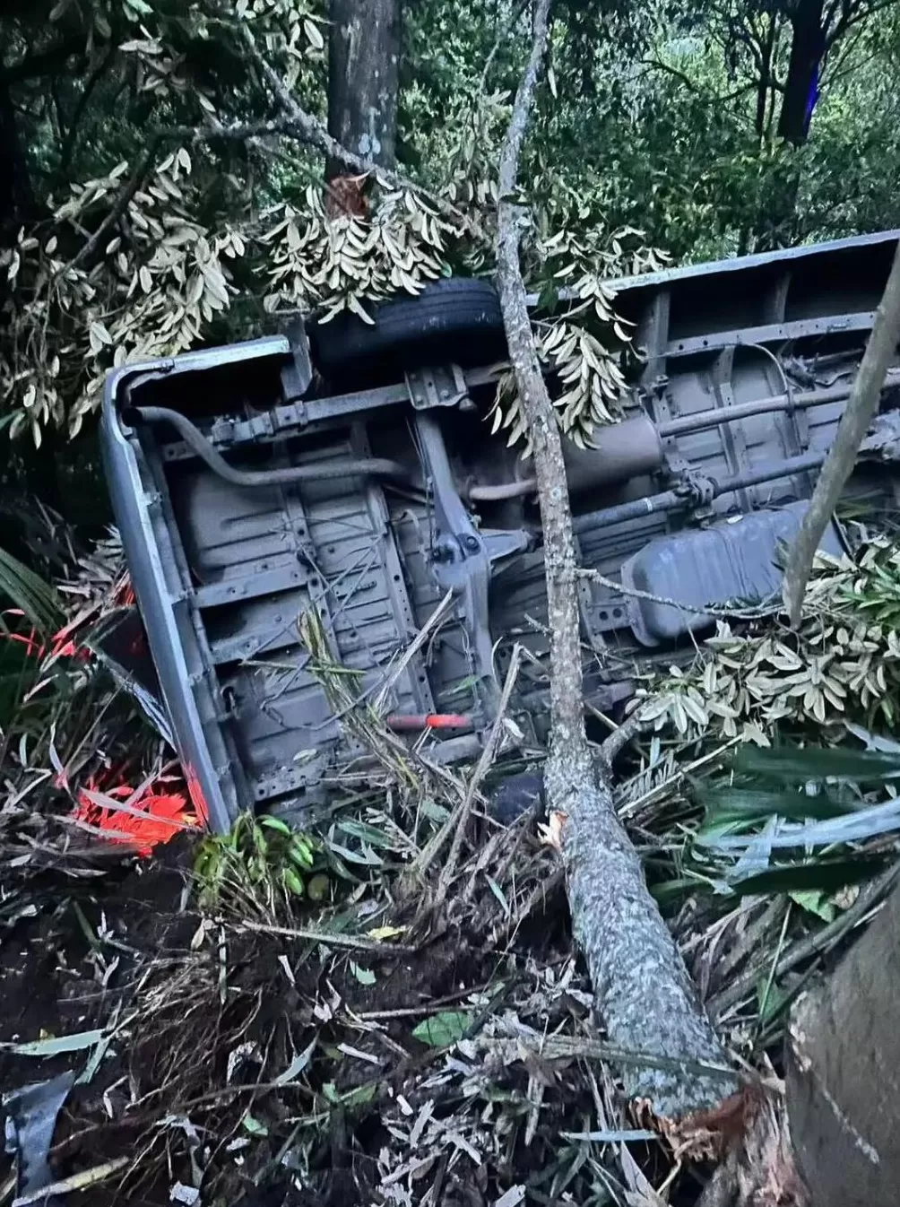 中国公民5死8伤！巴厘岛凌晨车祸亲历者发声：司机直接离开了现场-第1张图片-