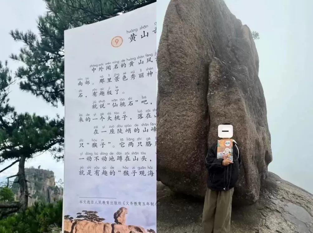 排队2小时还没进门，迪士尼被“秋假大军”挤爆！全国多地热门景区也被“攻陷”-第9张图片-