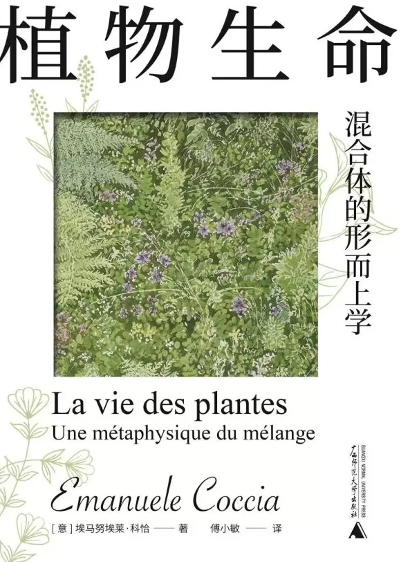 混合与共生：科恰的植物哲学-第6张图片-