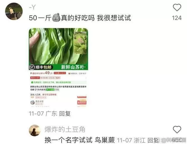 超市50块钱一斤的网红菜，竟是云南人的“绿化带”-第3张图片-