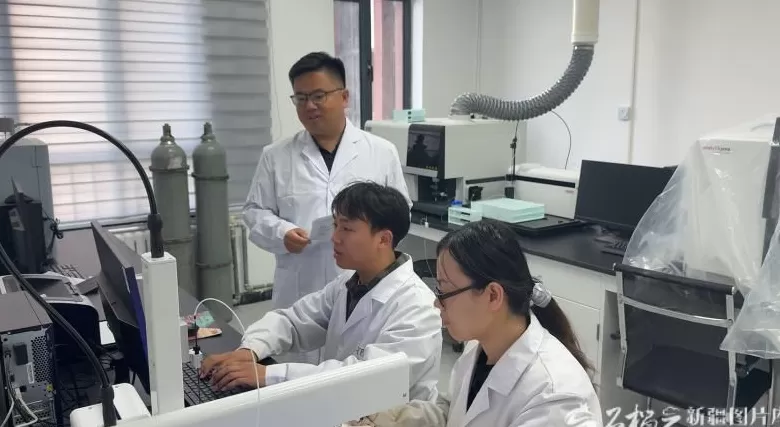 新疆棉秆如何点“草”成金-第2张图片-