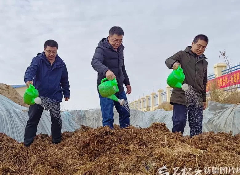 新疆棉秆如何点“草”成金-第3张图片-