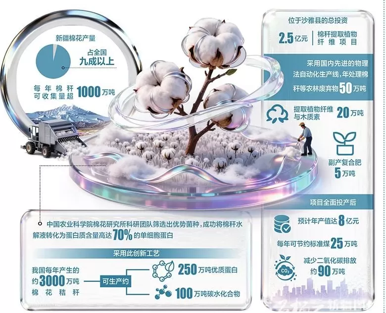 新疆棉秆如何点“草”成金-第1张图片-