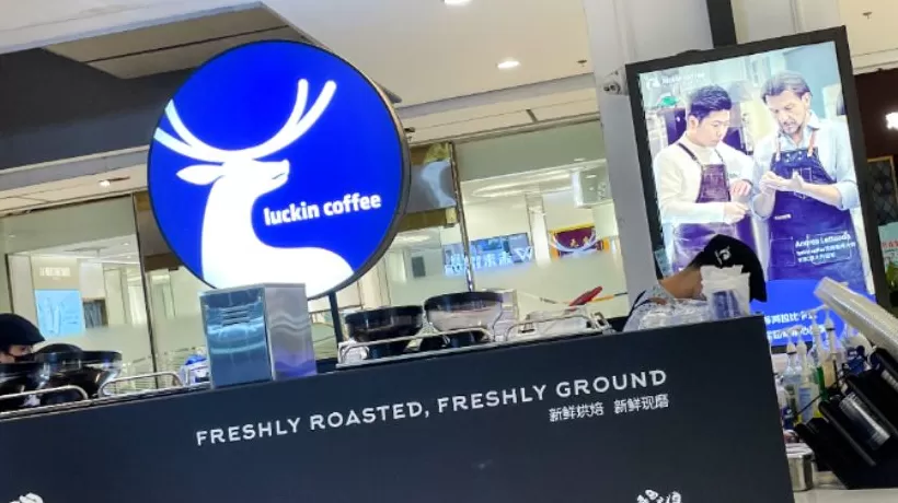瑞幸咖啡三季度营收同比增五成，一年新增近8000家门店-第2张图片-