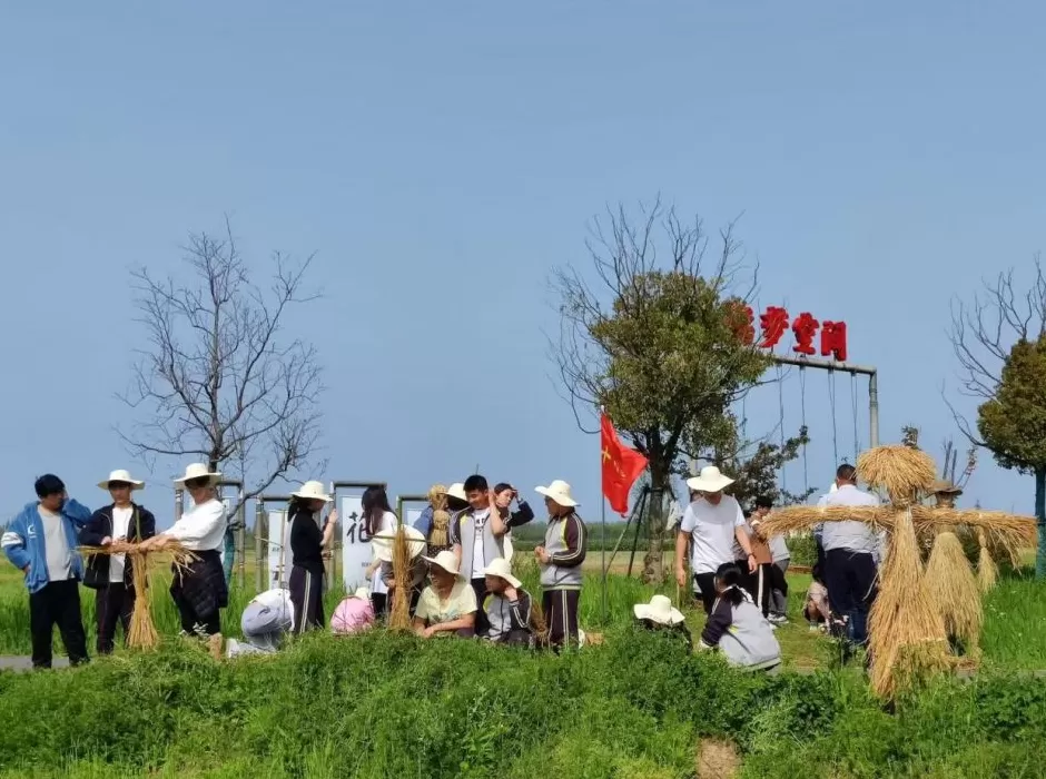 走进新时代文明实践阵地系列｜生态崇明，绿脉乡风滋养出的绚烂文明实践之花-第5张图片-