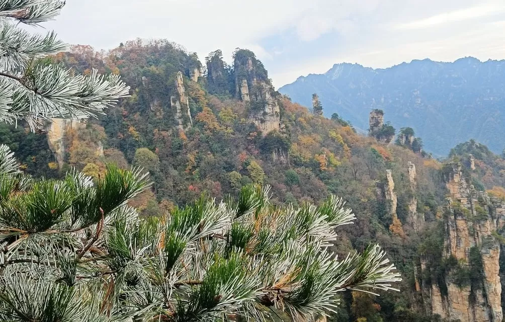 城事｜寒潮南下，冰冻线越过长江，全国今起转晴朗干燥模式-第6张图片-