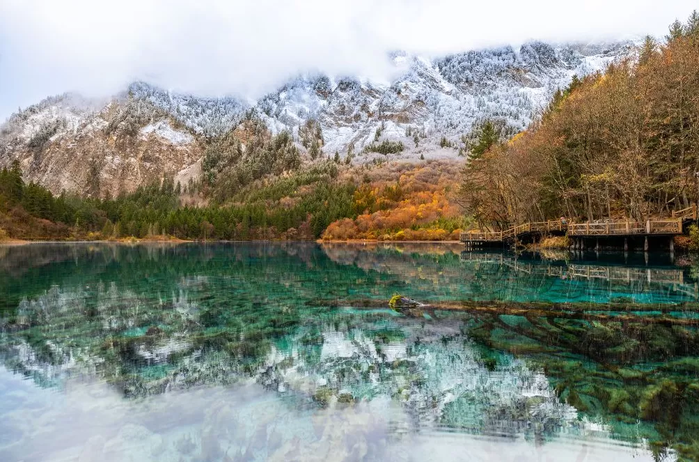 城事｜寒潮南下，冰冻线越过长江，全国今起转晴朗干燥模式-第10张图片-
