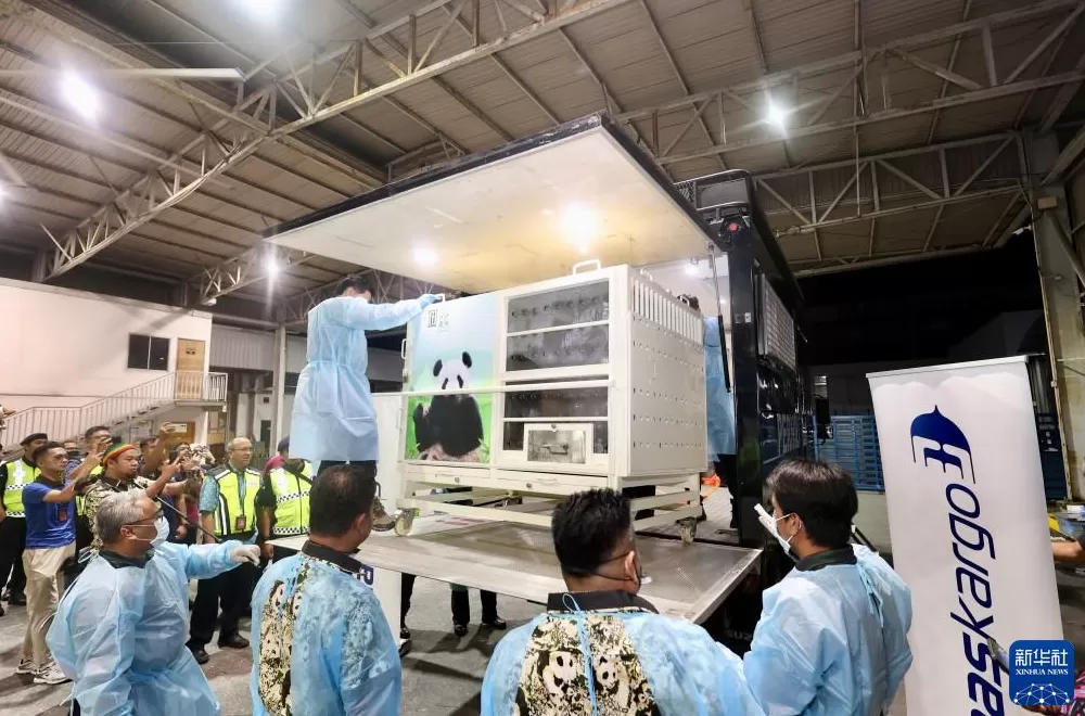 大熊猫“辰星”“晓月”抵达马来西亚吉隆坡-第2张图片-