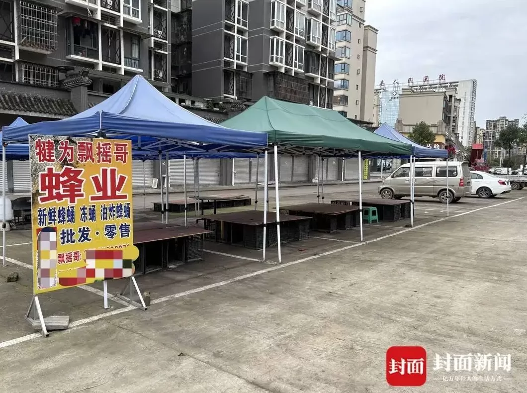 央视曝光“杀人蜂”滥养牟利引关注，四川犍为：正联合调查虎头蜂养殖情况-第2张图片-