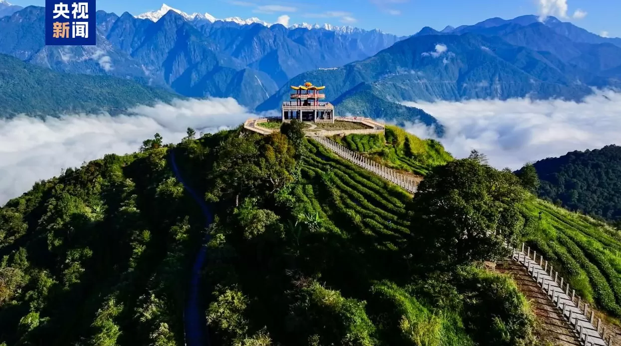 第二次青藏科考发布十大应用成果-第8张图片-