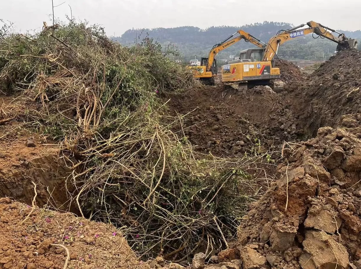法治面｜为整治土地“非粮化”百亩苗圃被毁，四川高院裁定提审-第1张图片-