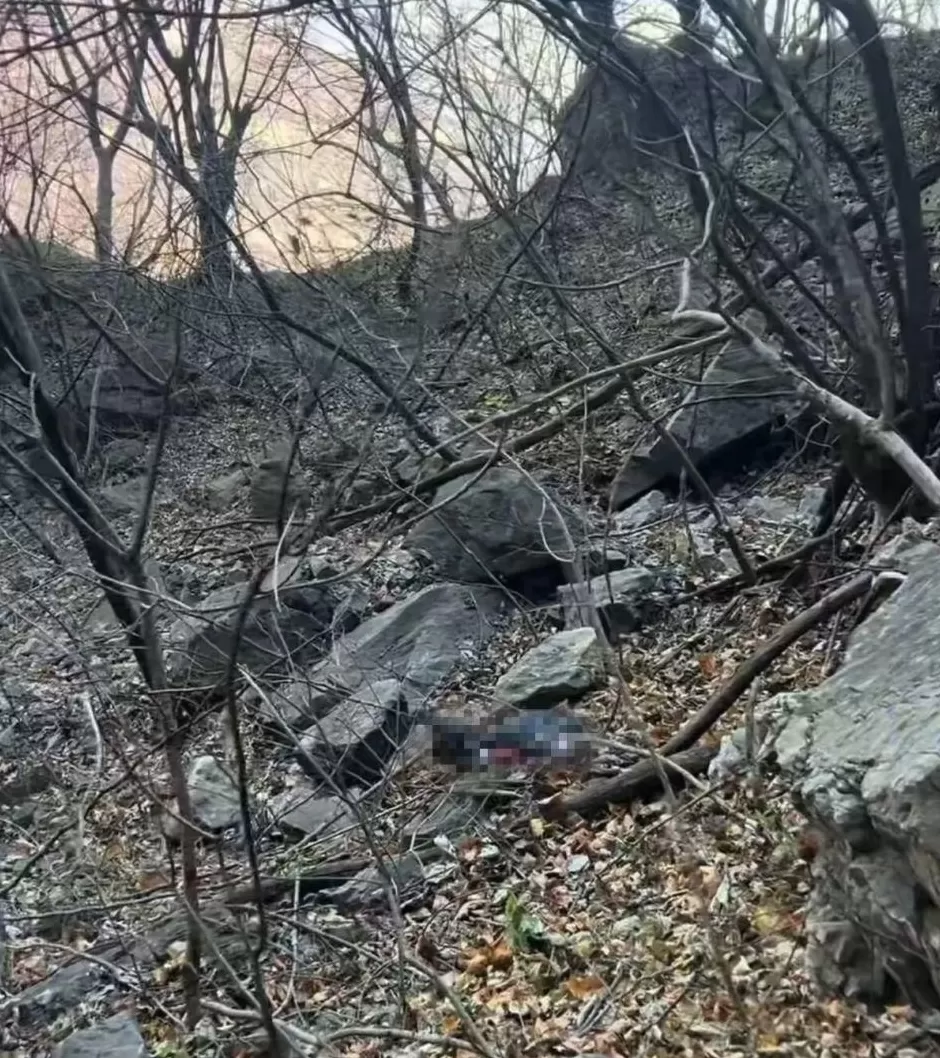 男子在河南南太行失联43天，有人发现疑似遗体及物品，其父已赶往现场-第1张图片-