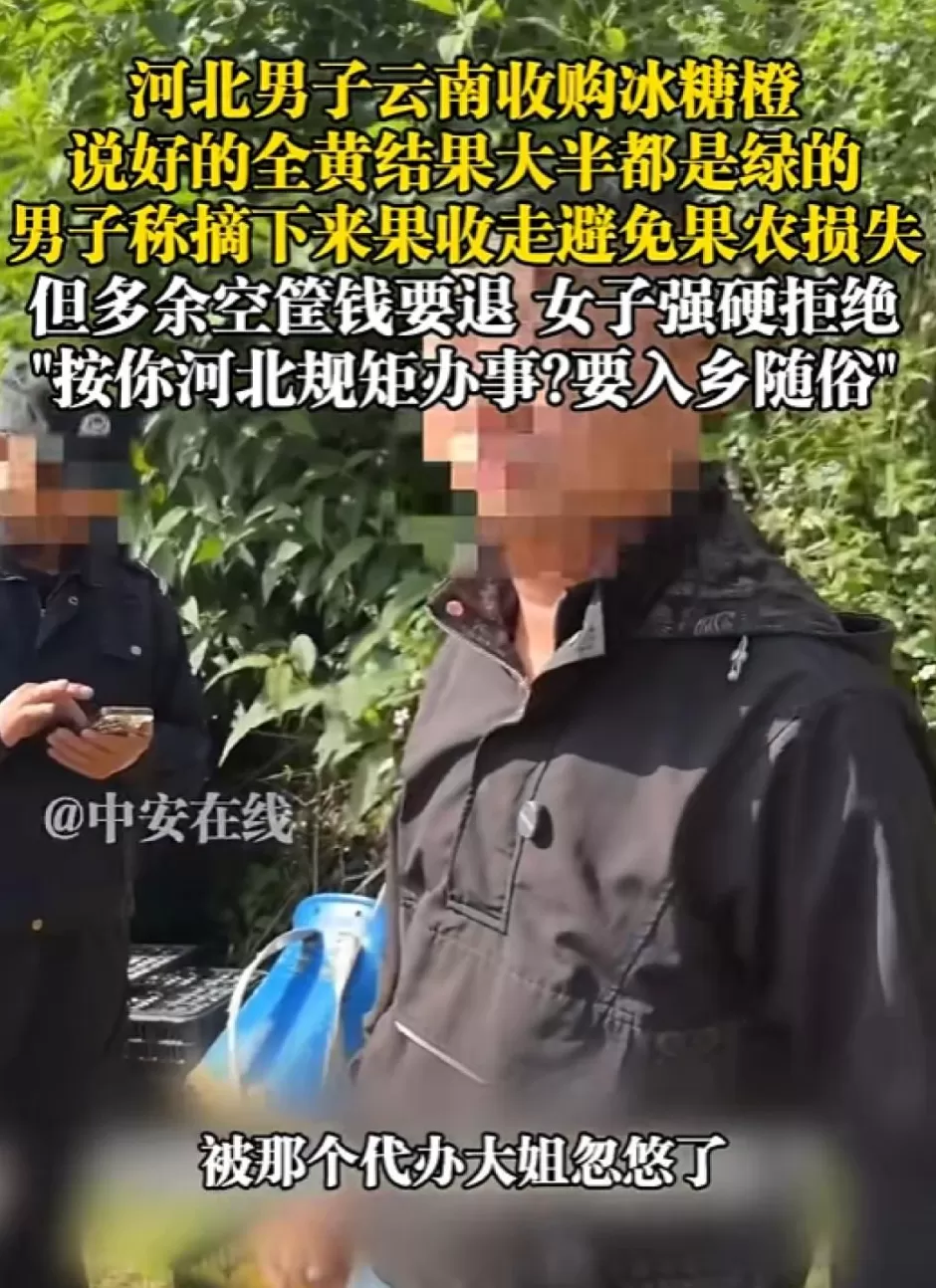 “在云南难道按河北的规矩办事”，云南官方通报男子收购冰糖橙纠纷-第1张图片-