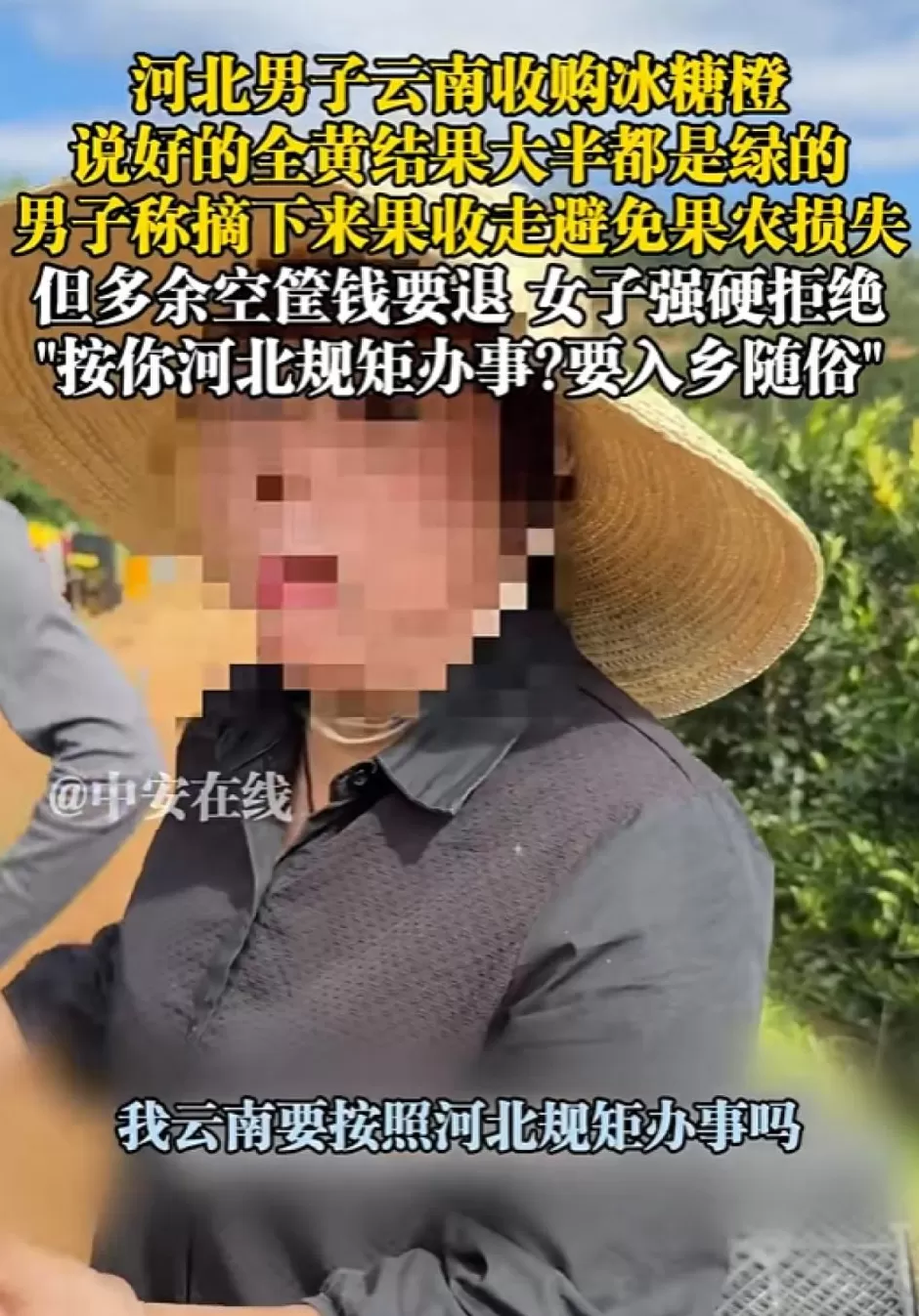“在云南难道按河北的规矩办事”，云南官方通报男子收购冰糖橙纠纷-第2张图片-