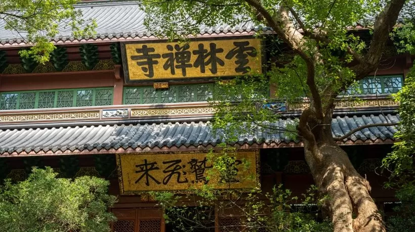 地方新闻精选 | 杭州宣布灵隐寺12月1日起免门票 厦门海关查获807只“异宠”-第1张图片-